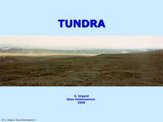 TUNDRA