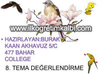 8. TEMA DEĞERLENDİRME