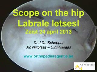 Scope on the hip Labrale letsesl Zeist 24 april 2013