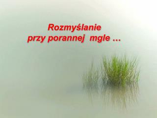 Rozmyślanie przy porannej mgle …