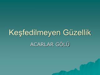Keşfedilmeyen Güzellik