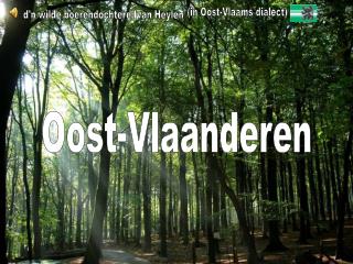 Oost-Vlaanderen