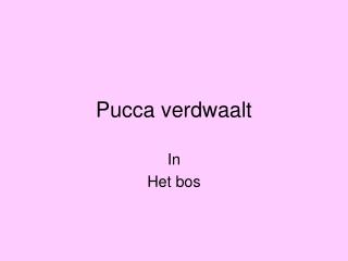 Pucca verdwaalt