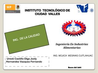 ING. DE LA CALIDAD