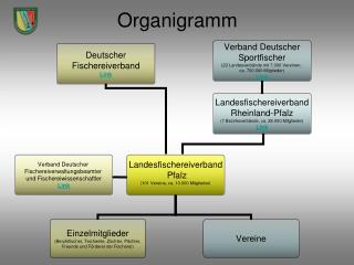 Organigramm