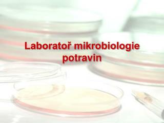 Laboratoř mikrobiologie potravin