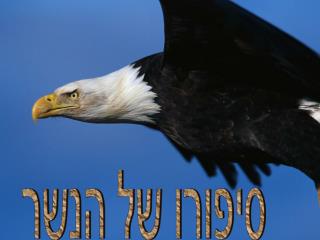 סיפורו של הנשר