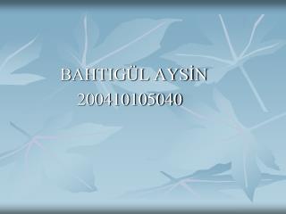 BAHTIGÜL AYSİN 200410105040