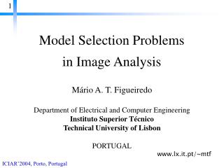 Model Selection Problems in Image Analysis