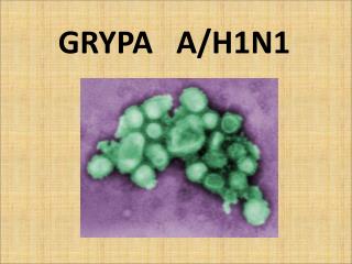 GRYPA A/H1N1