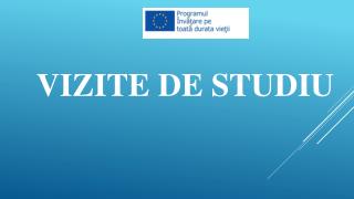 Vizite de studiu