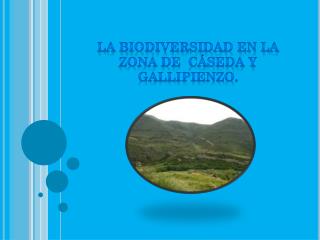 La biodiversidad.