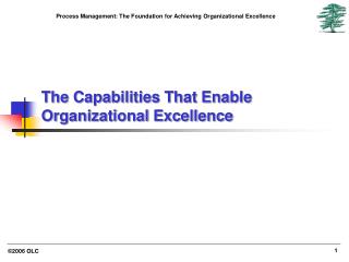 The Capabilities That Enable Organizational Excellence