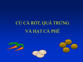 CỦ CÀ RỐT, QUẢ TRỨNG VÀ HẠT CÀ PHÊ