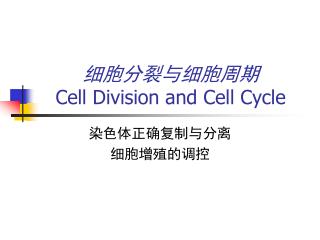 细胞分裂与细胞周期 Cell Division and Cell Cycle