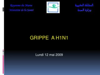 GRIPPE A H1N1 Lundi 12 mai 2009