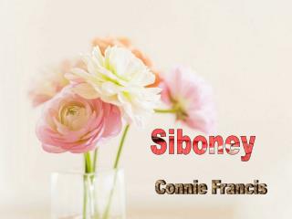 Siboney