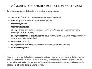 MÚSCULOS POSTERIORES DE LA COLUMNA CERVICAL