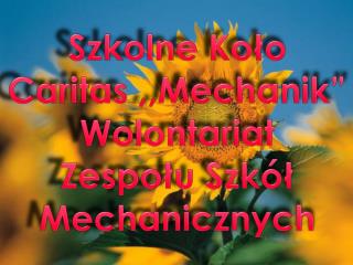 Szkolne Koło Caritas ,,Mechanik” Wolontariat Zespołu Szkół Mechanicznych