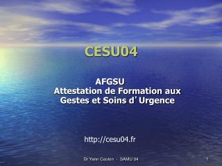 CESU04