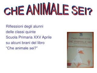 CHE ANIMALE SEI?