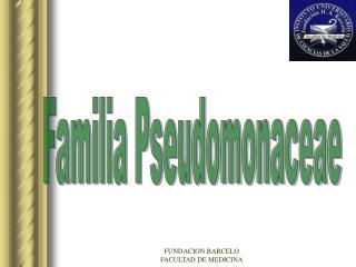 Familia Pseudomonaceae
