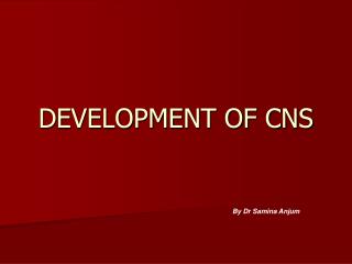 DEVELOPMENT OF CNS