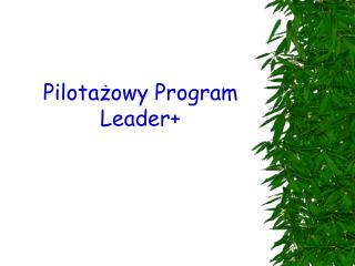 Pilotażowy Program Leader+