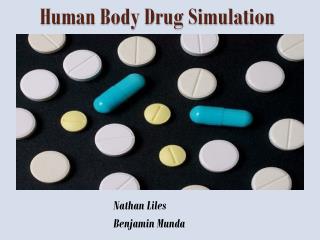 Human Body Drug Simulation