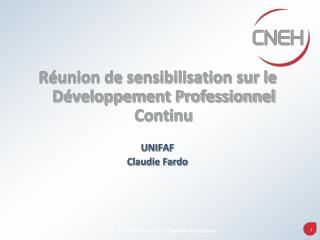 Réunion de sensibilisation sur le Développement Professionnel Continu UNIFAF Claudie Fardo