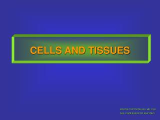 CELLS AND TISSUES