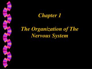 Chapter 1 The Organization of The Nervous System