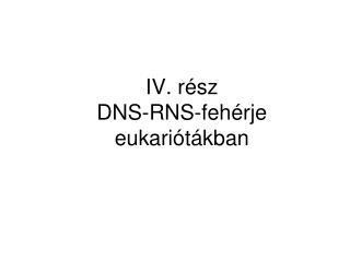 IV. rész DNS-RNS-fehérje eukariótákban