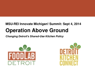 MSU-REI Innovate Michigan! Summit: Sept 4, 2014 Operation Above Ground