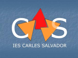 IES CARLES SALVADOR