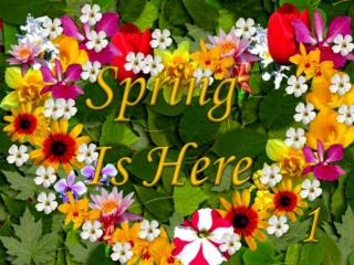 这组 “ Spring Is Here” 共四集，是由 匈牙利 的一位叫 Judy 的 Housewife 编制的。鲜花盛开、鸟语花香、百花争艳的春天景色非常优美。