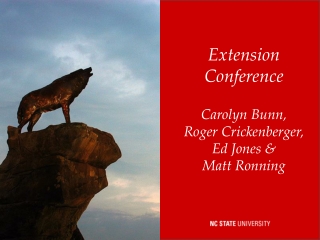 Extension Conference