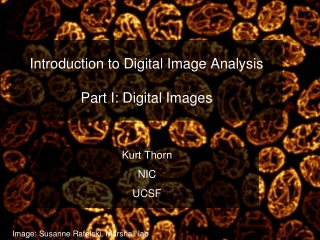 Introduction to Digital Image Analysis Part I: Digital Images