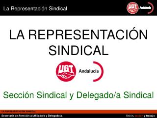 LA REPRESENTACIÓN SINDICAL Sección Sindical y Delegado/a Sindical