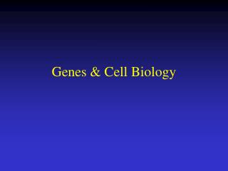 Genes &amp; Cell Biology