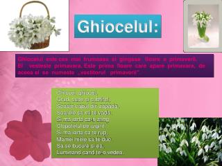 Ghiocelul: