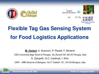 Flexible Tag Gas Sensing System for Food Logistics Applications