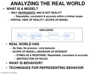 ANALYZING THE REAL WORLD