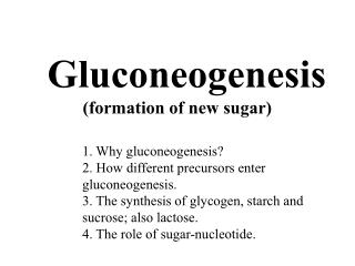 Gluconeogenesis 	(formation of new sugar)