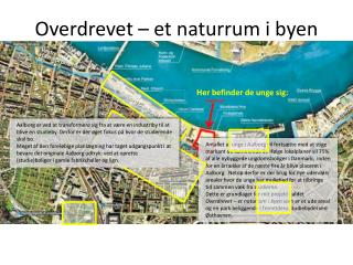 Overdrevet – et naturrum i byen