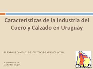Características de la Industria del Cuero y Calzado en Uruguay