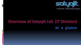 Overview of Satyajit Ltd. (IT Division)