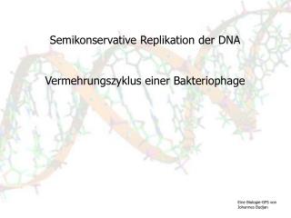Semikonservative Replikation der DNA Vermehrungszyklus einer Bakteriophage