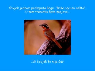 Čovjek jednom prošaputa Bogu: “Bože reci mi nešto”. U tom trenutku ševa zapjeva…