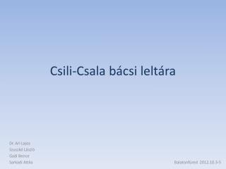 Csili-Csala bácsi leltára